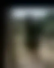 Foto de sarah24273