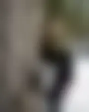 Foto av helenebouvet01