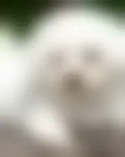 Foto de anstaran78930