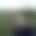 Discutir com anlphegias29566