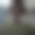 Discutir com fer645