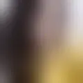 Discutir com jeiri