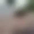 Discutir com jonasjo