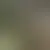 Perfil de reheaiah1499