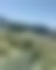 Foto av reynacc123
