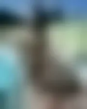 Foto de clemencemardaud
