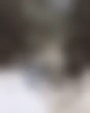 Foto av alea3878