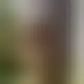 Discutir com agadral26284