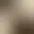 Perfil de ant09