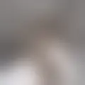Discutir com azacifus12595