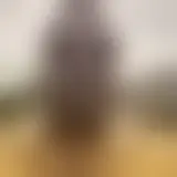 Bate-papo com black29122025