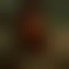 Chat with damien1990 and singles near Washington