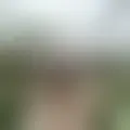 Discutir com dirtydeed69