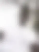 Chatter avec elohim90727 et des hommes célibataires vers Laare