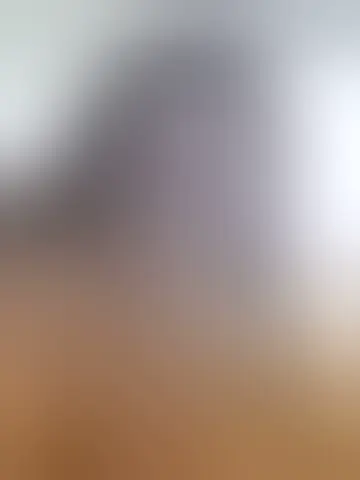 Contacter elsa55