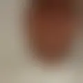 Reden mit kingcock