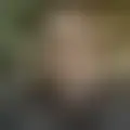 Discutir com kirito69
