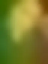 Chatta con leuhuiel59781 e donne single in Poggio Lavarino