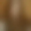 Discutir com rose1217
