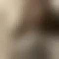 Discutir com rosecute434